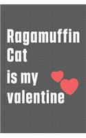Ragamuffin Cat is my valentine