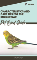 Characteristics and care tips for the Budgerigar: Pet bird guide