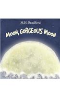 Moon, Gorgeous Moon