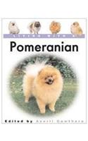 Living with a Pomeranian