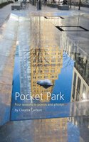 Pocket Park