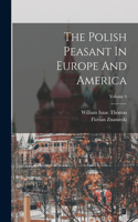 Polish Peasant In Europe And America; Volume 4