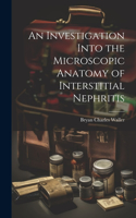 Investigation Into the Microscopic Anatomy of Interstitial Nephritis