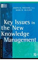 Key Issues in the New Knowledge Management