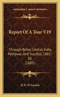 Report Of A Tour V19
