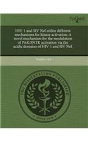 HIV-1 and Siv Nef Utilize Different Mechanisms for Kinase Activation: A Novel Mechanism for the Modulation of Pak/Sntk Activation Via the Acidic Domai: (English)