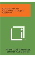 Xanthation of Cellulose in Liquid Ammonia