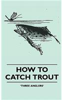 How To Catch Trout