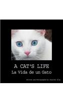 A Cat's Life