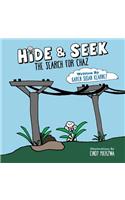 Hide & Seek