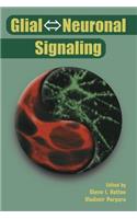 Glial ? Neuronal Signaling