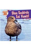 Skua Seabirds Eat Vomit!