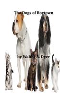 The Dogs of Boytown