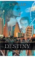 Slender Threads: Destiny: Book 2 in the Slender Threads Series