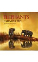 Elephants Calendar 2015: 16 Month Calendar