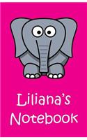 Liliana's Notebook
