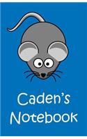 Caden's Notebook