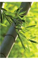 Close Bamboo 2 Grid Notebook: 150 Page Grid Notebook Journal Diary