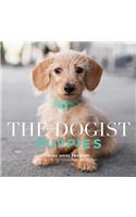 Dogist Puppies