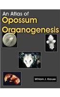 Atlas of Opossum Organogenesis