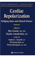 Cardiac Repolarization