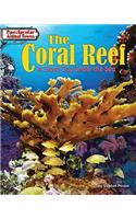 Coral Reef
