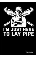 IMjust Here To Lay Pipe