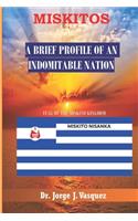 Miskitos