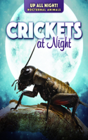 Crickets at Night