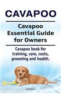 Cavapoo. Cavapoo Essential Guide for Owners. Cavapoo book for training, care, costs, grooming and health.