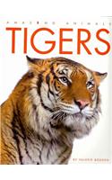 Amazing Animals: Tigers