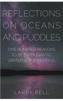 Reflections on Oceans and Puddles