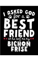 I Asked God For A Best Friend So He Sent Me My Bichon Frise