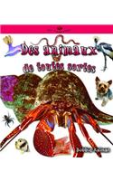 Des Animaux de Toutes Sortes