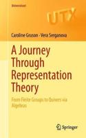 Journey Through Representation Theory: From Finite Groups to Quivers Via Algebras