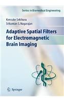 Adaptive Spatial Filters for Electromagnetic Brain Imaging