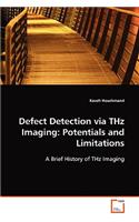 Defect Detection via THz Imaging: Potentials and Limitations