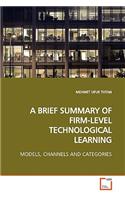 A Brief Summary of Firm-Level Technological Learning