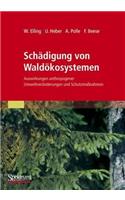 Schädigung Von Waldökosystemen