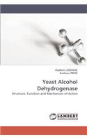 Yeast Alcohol Dehydrogenase