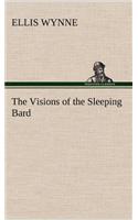 Visions of the Sleeping Bard