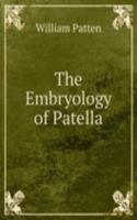 Embryology of Patella