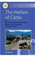The Welfare of Cattle