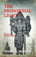 Primordial Light