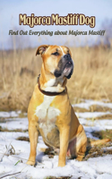 Majorca Mastiff Dog