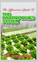 Efficacious Guide To The Hydroponics System