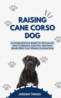 Raising Cane Corso Dog