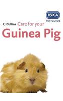 Care for your Guinea Pig