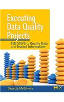 Executing Data Quality Projects