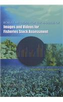 Robust Methods for the Analysis of Images and Videos for Fisheries Stock Assessment